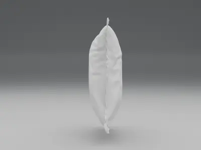 Pillow two pillows 3D model
