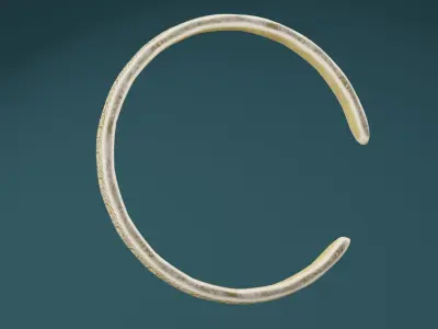 Golden Bangle  Low-poly 3D model purchase