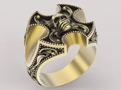 Skull ring silver gold  printable jewelry 3D model 3D print model