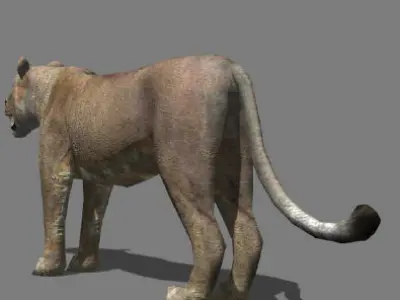 AWESOME Low-poly lioness Low-poly 3D model