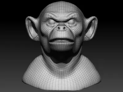 Monkey head 3d  model 3D model
