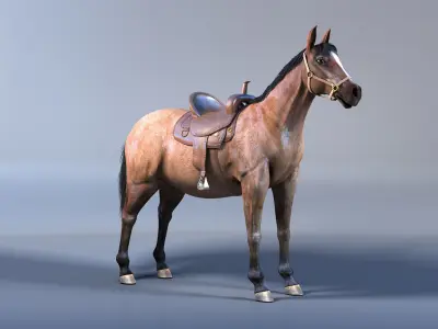 Horse with Saddle 3D Model with Mental Ray Materials 3D model