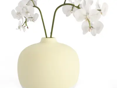 Colored Decorative Objects And Orchids 3D model