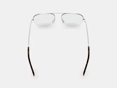 Vargas Eyeglasses in Antique Silver 3D model