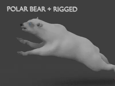 polar bear 3D model