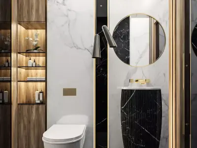 Guest Bathroom in Luxury style 3D model