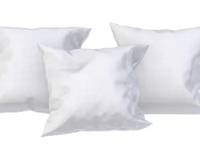 Solid Pillows - set of 3 3D model