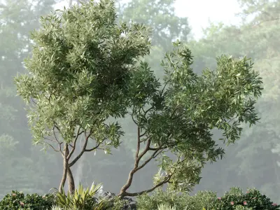 Collection outdoor indoor 165 pot plant tree bush Low-poly 3D model