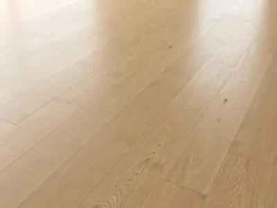 Wood Floor Set 08 Texture