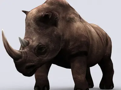 3DRT - Fantasy Animal Rhino Low-poly 3D model