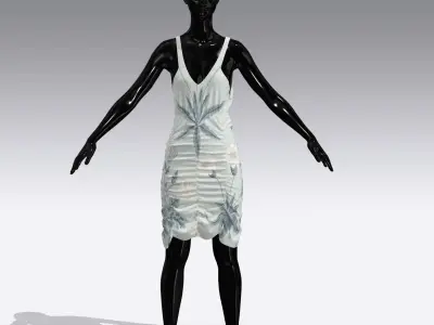 Woman Cloth Dress Low-poly 3D model
