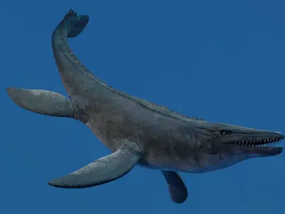 Mosasaurus Animated Low-poly 3D model