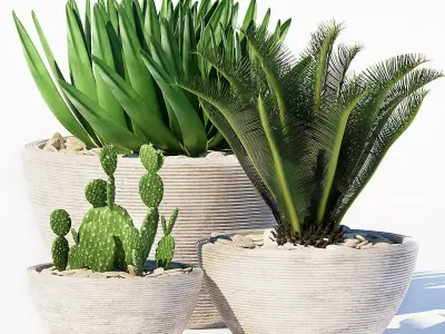 plants set 150 3D model