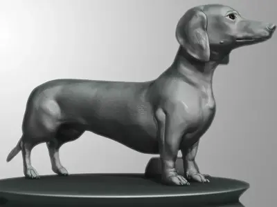 Detailed Dachshund Dog Low-poly 3D model