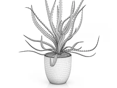 Aloe in White Pot 3D model