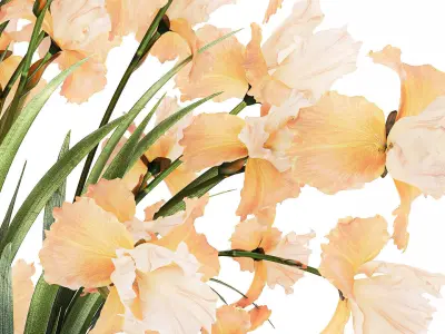 Beautiful Bouquet In Glass Vase With Flowers Iris 573 3D model