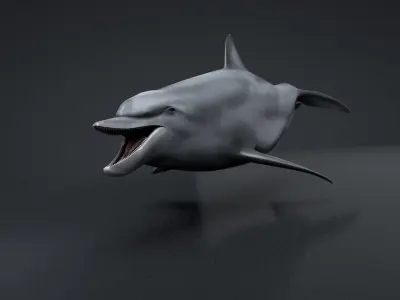 Bottlenose Dolphin Low-poly 3D model