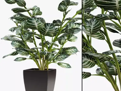 Realistic Plant Garden 3D model purchase