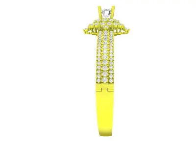 Elegant Floral Cluster Double Band Gold Ring for Women 5818 3D print model
