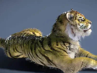  Siberian Tiger 3D model