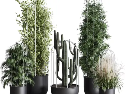 indoor plant bamboo palm cactus grass stand black pot  3D model