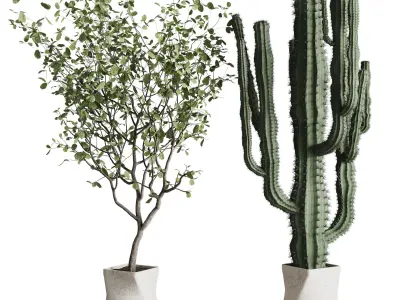 Indoor plant 458 pot plant cactus tree bush in old concrete vase 3D model