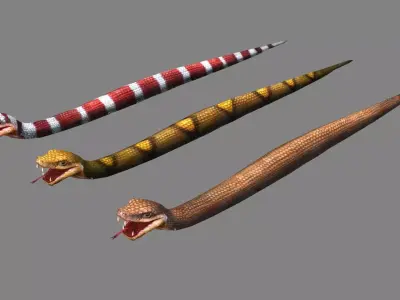 Three venomous snakes Low-poly 3D model