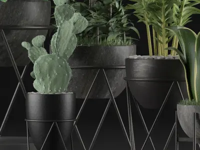 Plants Collection 27 3D model