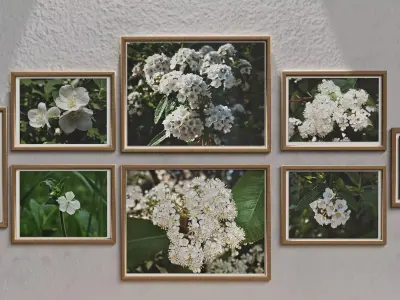 Wall Photo Frame Set with Nature Photography 3D model