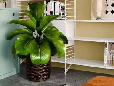  Blender creates living room home decoration renderings 3D model