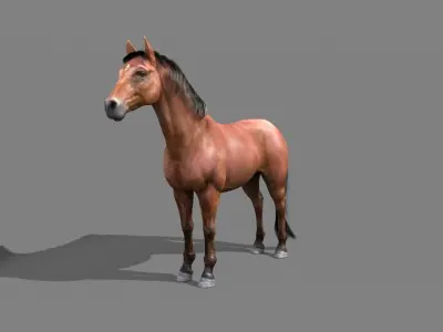 Horse final 3D model