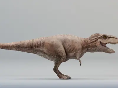 Animated Tyrannosaurus Rex Low-poly 3D model