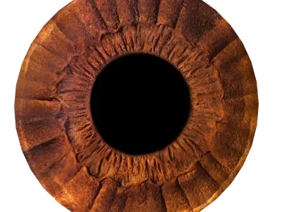 Wall Decor Eye 3D model