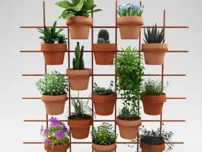 Cactus decor 3D model