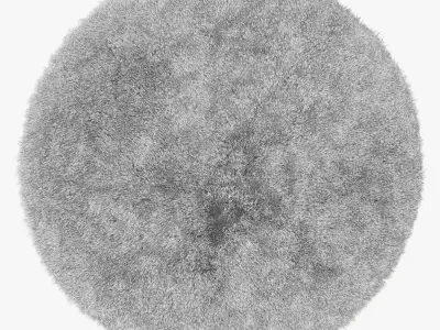 Eliza Round Rug 3D model