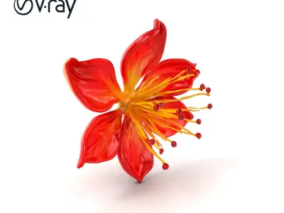 Lonicera Red Floral Sculpture model pack Low-poly 3D model