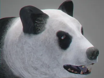 Animated Panda Bear 3D model