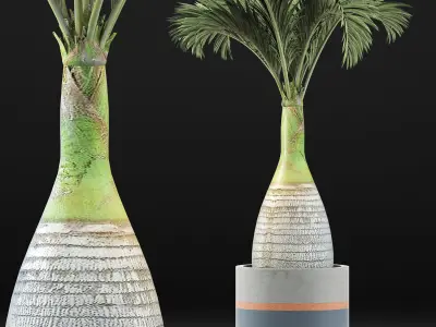Plants Collection 131 Big Palm 3D model