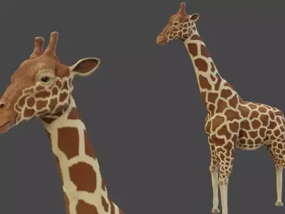 Giraffe Low-poly 3D model 3