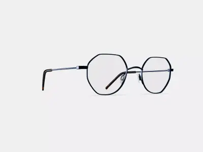 Dupree Eyeglasses in Brushed Ink 3D model