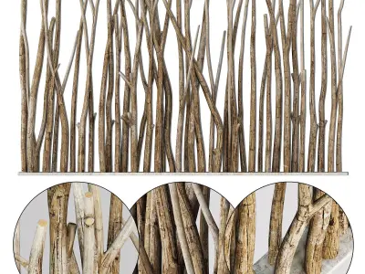 Branch old screen n2 3D model