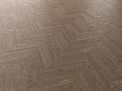 Parquet Oak Missisippi Wild Wood set 1 3D model