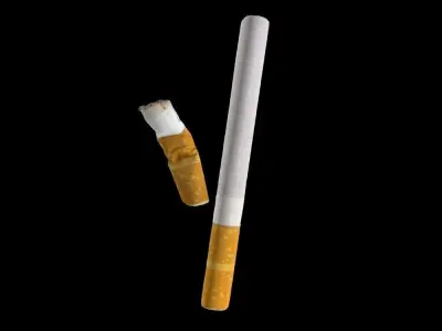 Cigarette kit - 2 models 3D model