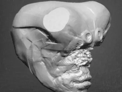 SciFi Head Free 3D model get