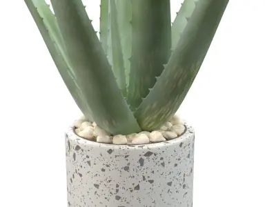 Healthy Aloe Vera Plant In Ceramic Vase PBR 3D model