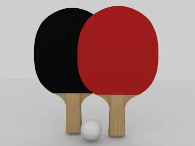 Ping Pong Paddle 3D model