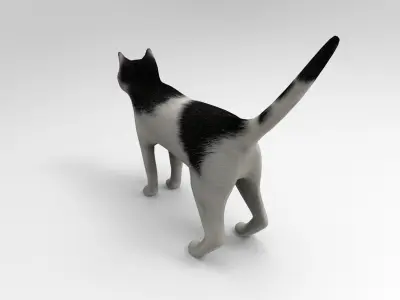 White Black Cat model 3D  Low-poly 3D model