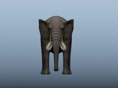 African Elephant Animated 3D model Low-poly 3D model