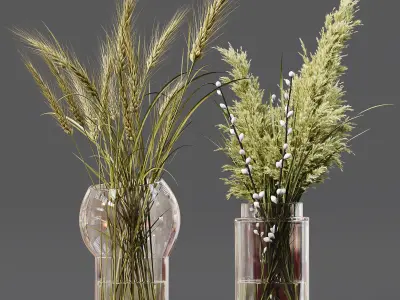 Collection Indoor Plants 06 3D model