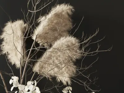 Dry bouquet 02 3D model